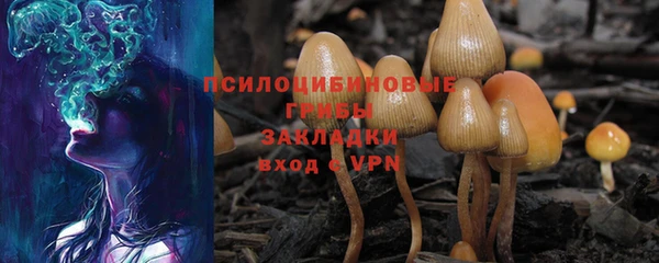 тгк Новозыбков